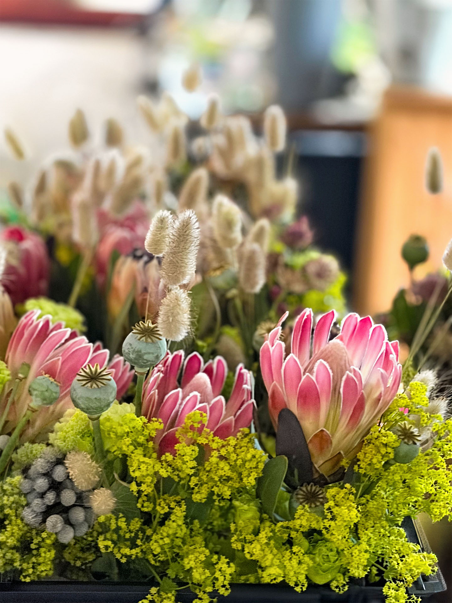 Frühling naht